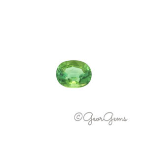 3.72ct Tourmaline - Oval