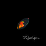 16.22ct Black Opal - Marquise Cabochon - Image 3