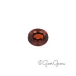 6.71ct Orange Zircon - Oval