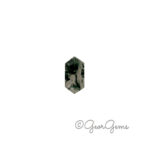 5.54ct Moss Agate - Hexagon