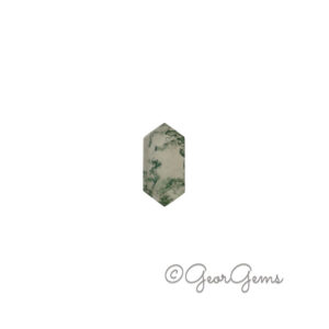5.91ct Moss Agate - Hexagon