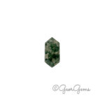 5.98ct Moss Agate - Hexagon
